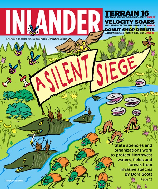 Image: Current Issue